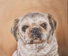 Load image into Gallery viewer, Pet Portrait Artist
